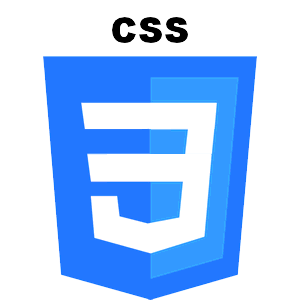 css skill